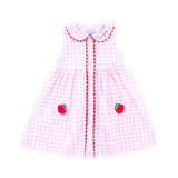 Apple Pink Gingham Lola Dress