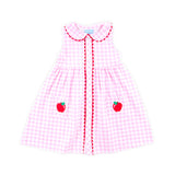 Apple Pink Gingham Lola Dress