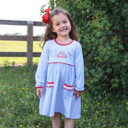 Western Blue Stripe Knit Dress