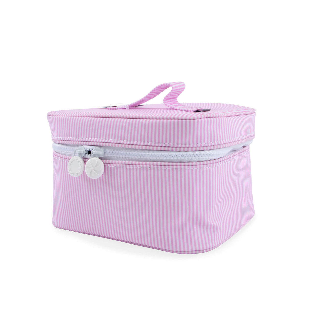 Glossy Wipeable Train Case