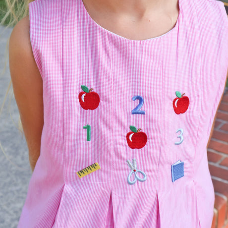 Ready To Learn Pink Mini Gingham Chloe Dress