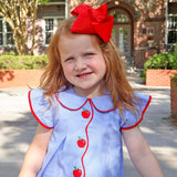 Adorable Apple Embroidered Blue Gingham Jane Bloomer Set