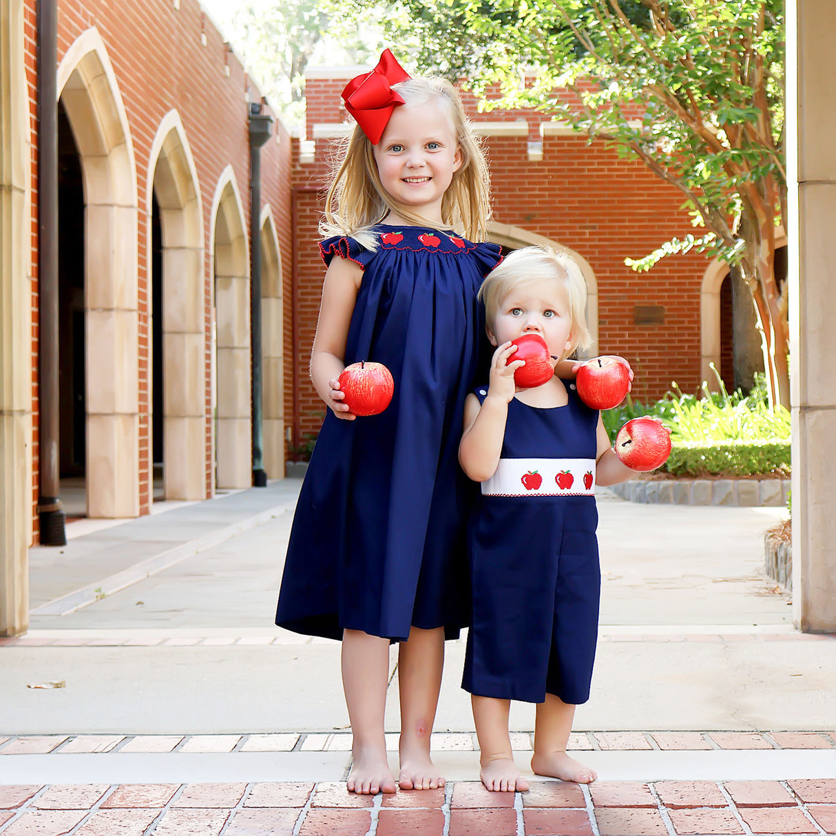 Apple Smocked Navy Angel Sleeve Dress