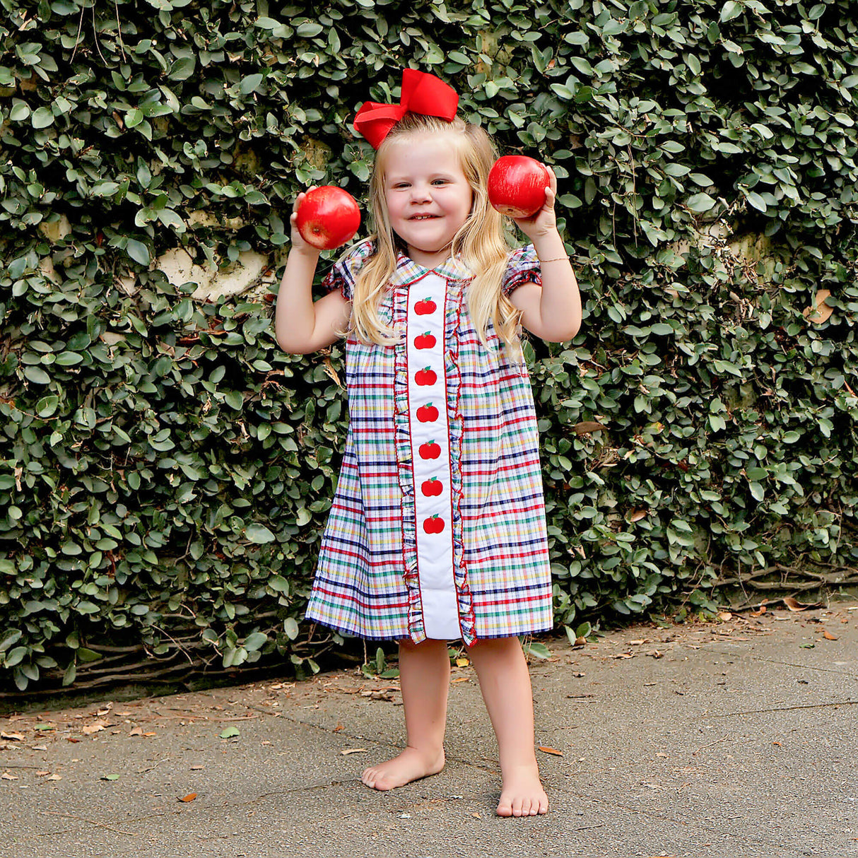 Apple Trio Primary Plaid Embroidered Camila Dress
