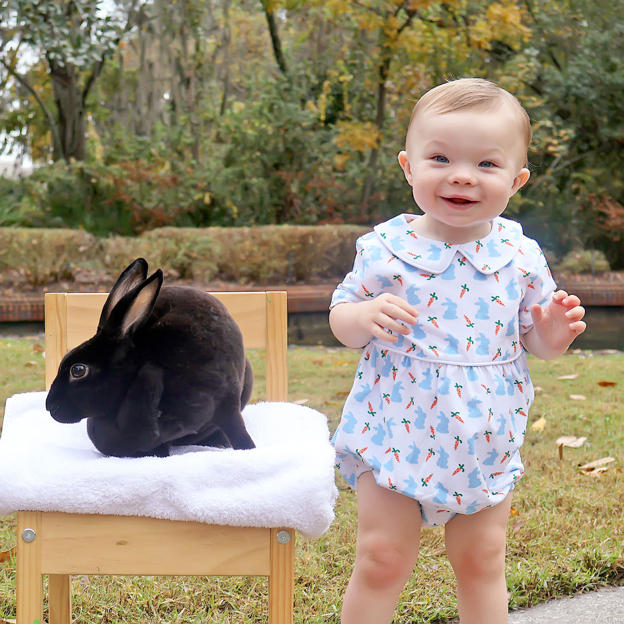 Bunnies & Carrots Blue Collared Bubble