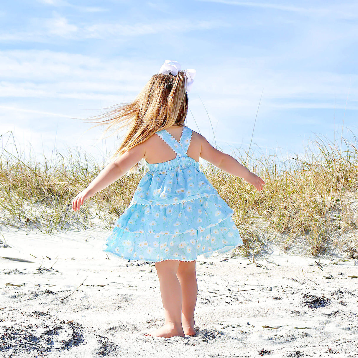 Wildflowers Blue Nova Dress