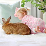 Bunny Tail Pink Gingham Zip Sleeper