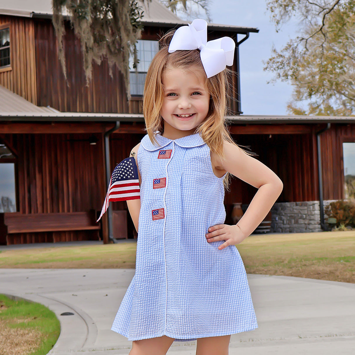 Flag Light Blue Gingham Jane Dress