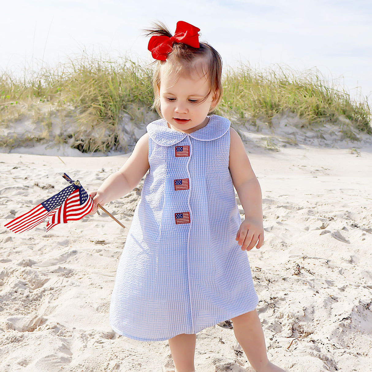 Flag Light Blue Gingham Jane Dress