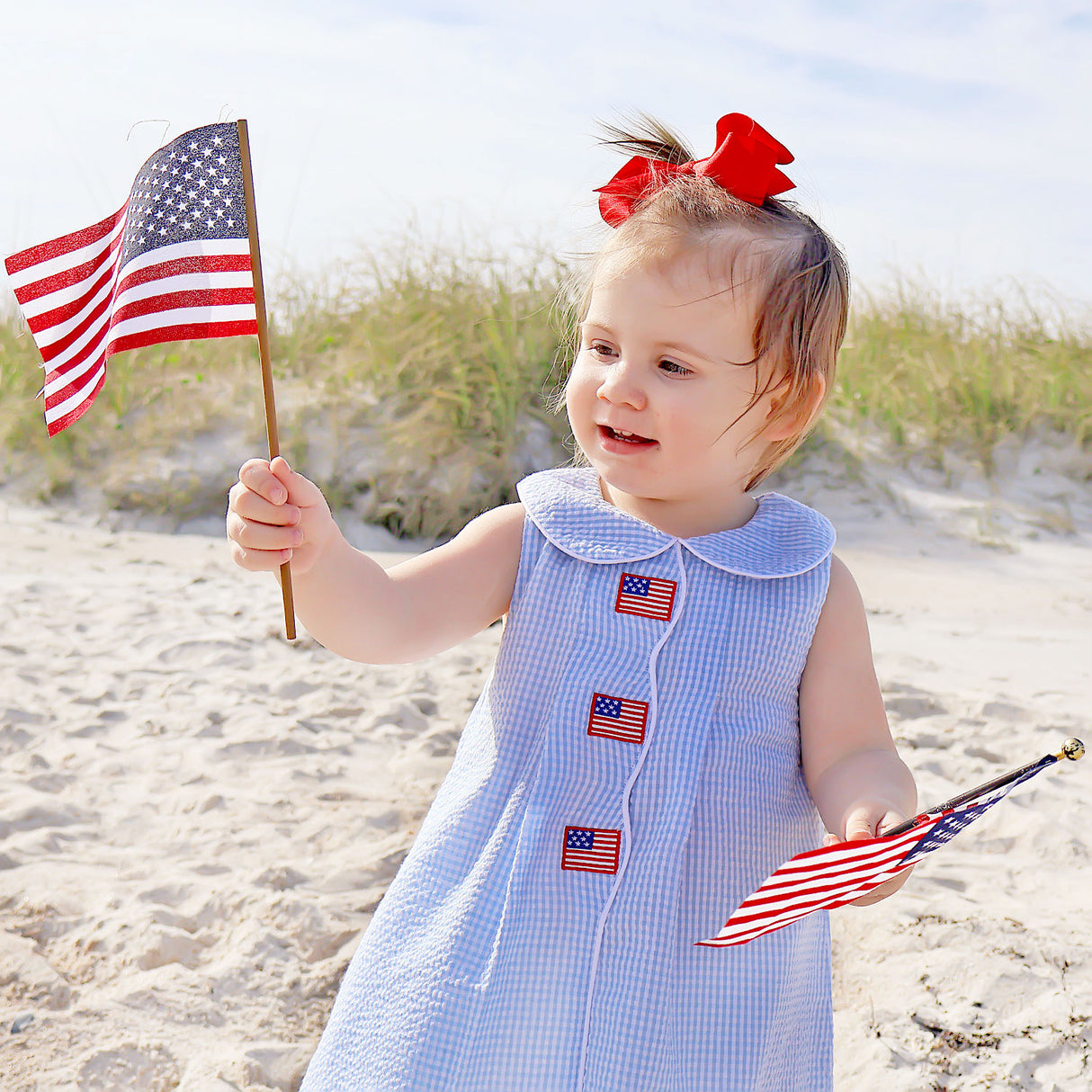 Flag Light Blue Gingham Jane Dress