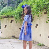 Royal Blue Gingham Sash Dress