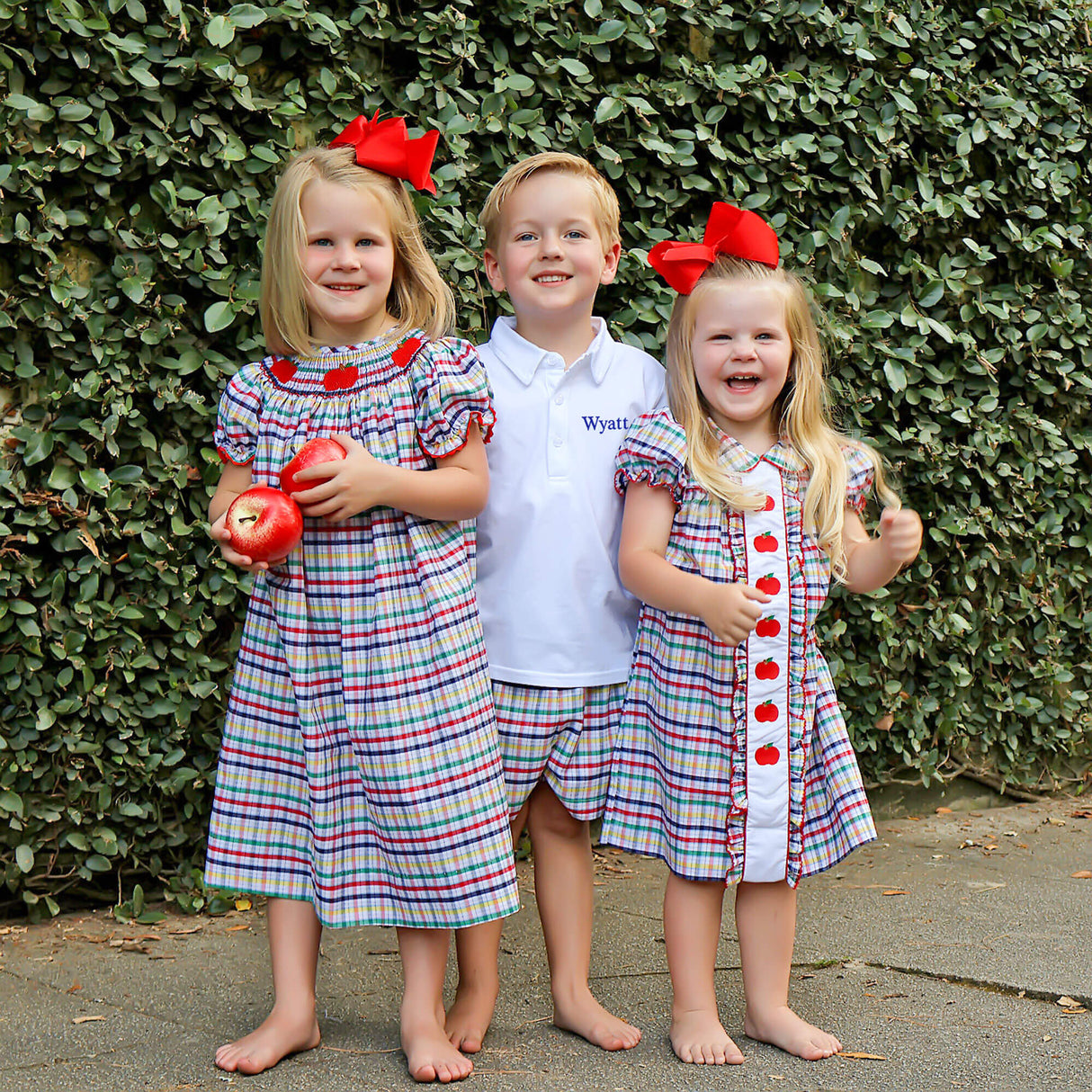 Apple Trio Primary Plaid Embroidered Camila Dress