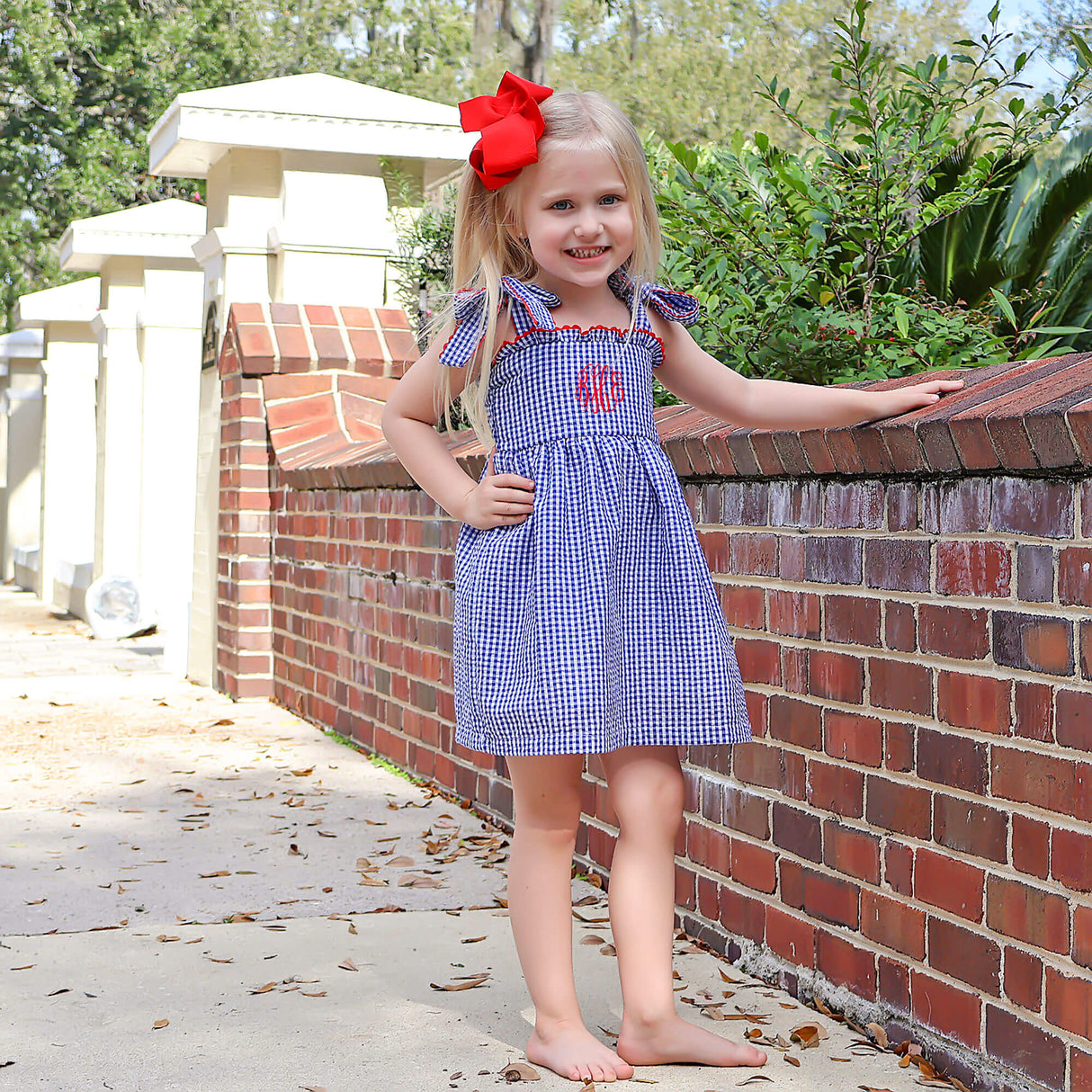 American Spirit Blue Gingham Aurora Dress