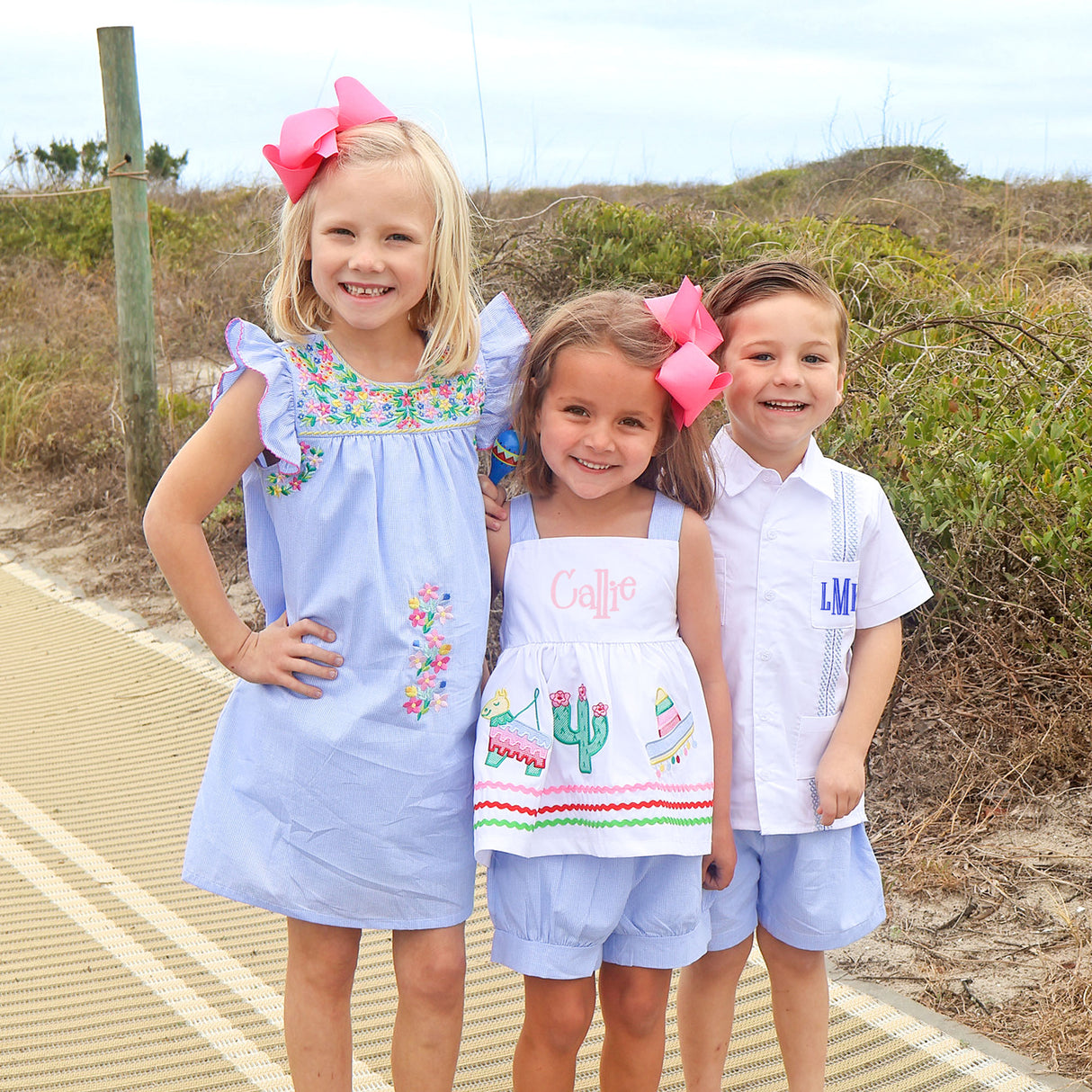 Colorful Embroidered Blue Gingham Beach Dress