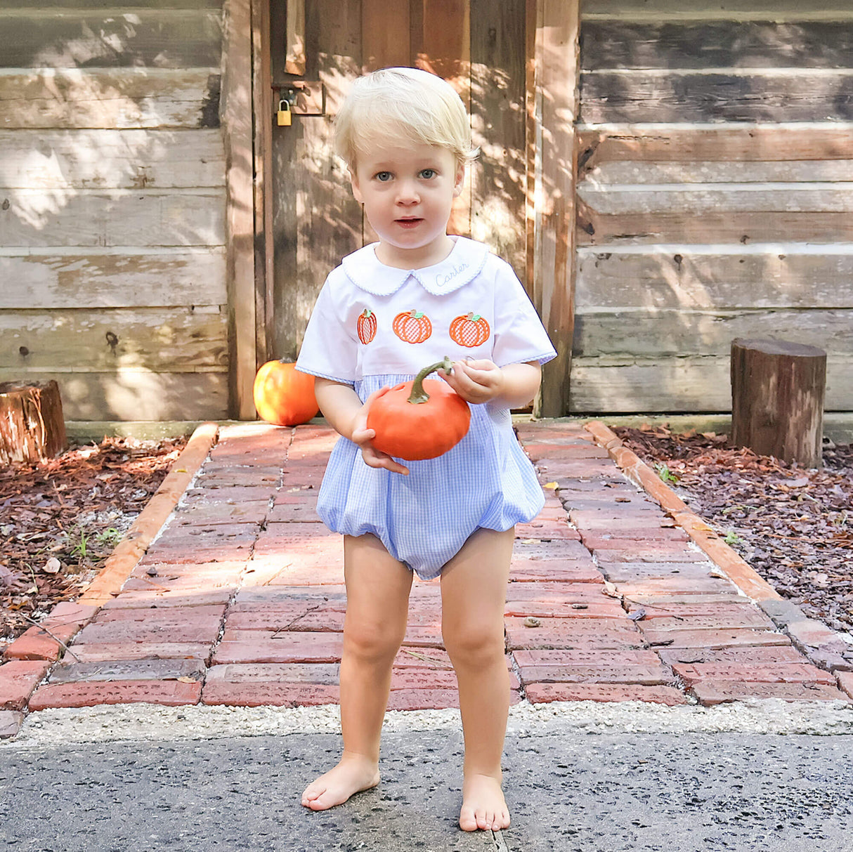 Pumpkin Trio Blue Gingham Bubble