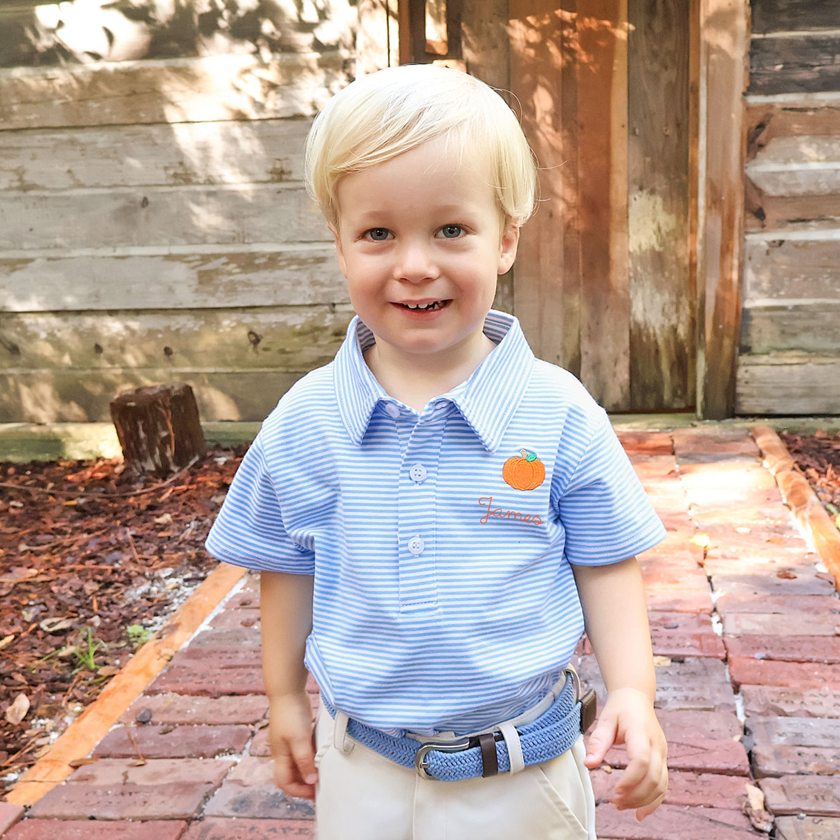 Pumpkin Embroidered Blue Stripe Polo
