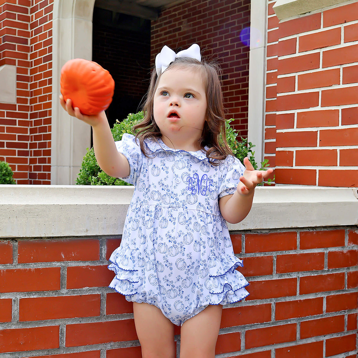Pumpkin Blue Toile Gwen Bubble