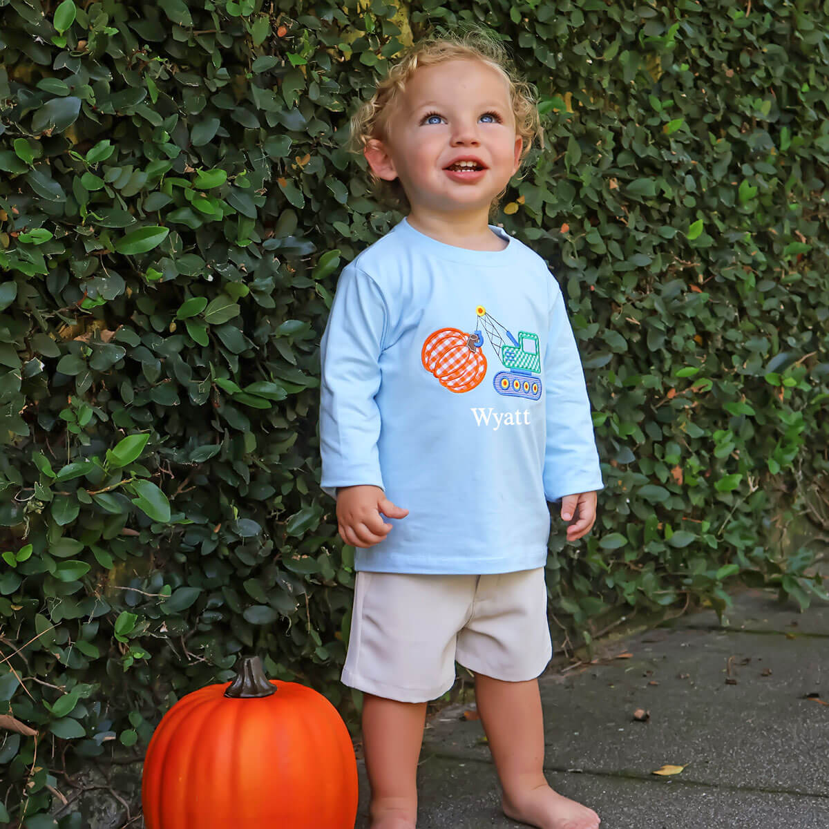 Pumpkin Crane Light Blue Long Sleeve Shirt