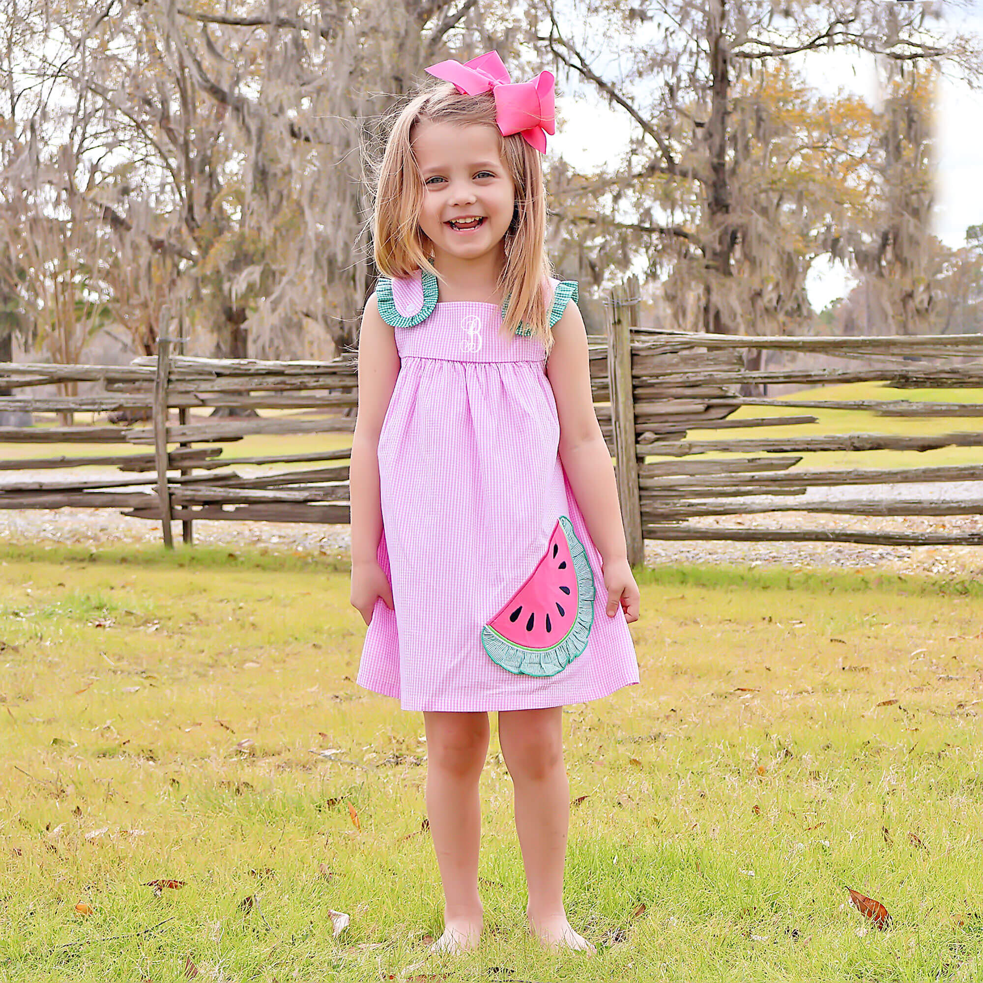 Watermelon Applique Pink Gingham Dress – Classic Whimsy