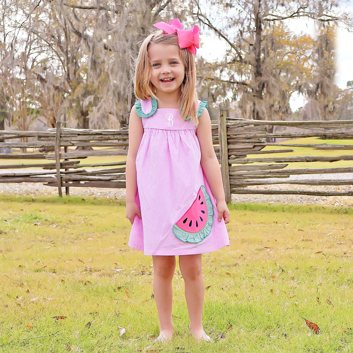 Sweet Watermelon Applique Pink Gingham Lulu Dress