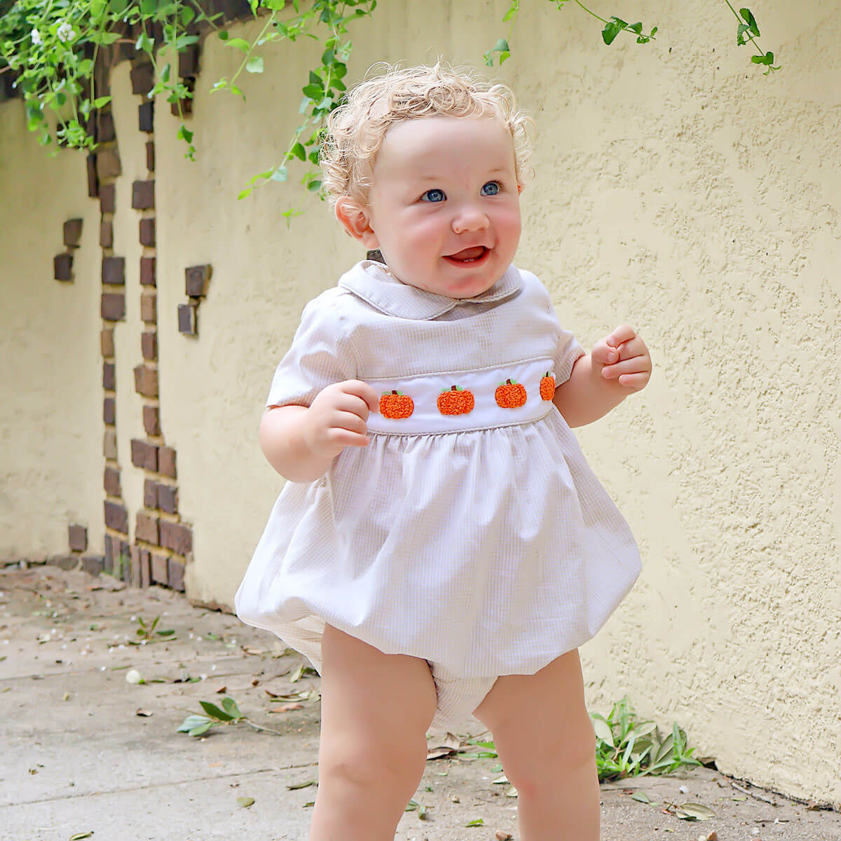 Pumpkin French Knot Tan Gingham Collared Bubble