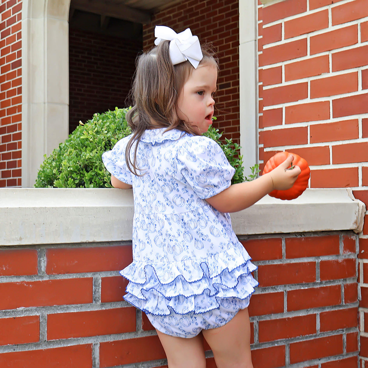 Pumpkin Blue Toile Gwen Bubble