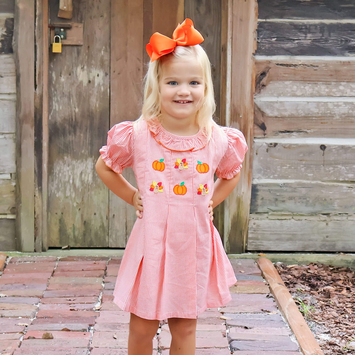 Sweet Turkey Embroidered Orange Gingham Chloe Dress
