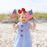 Flag Light Blue Gingham Jane Dress