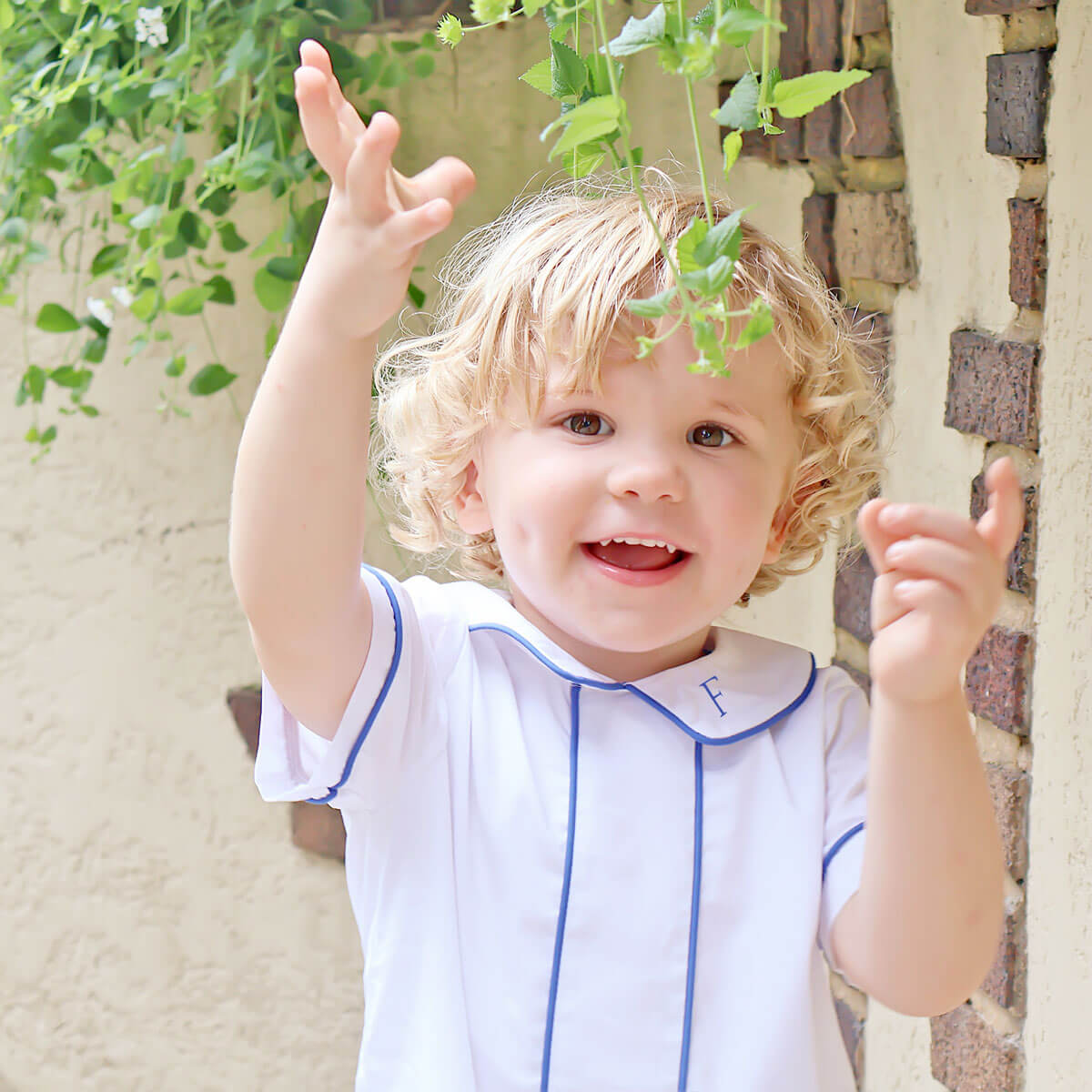 Royal Blue Gingham Collared Pant Set