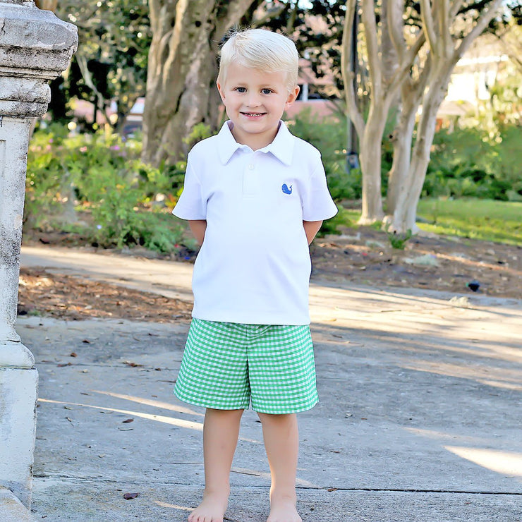 Embroidered Whale Boys Polo Short Set Green Check