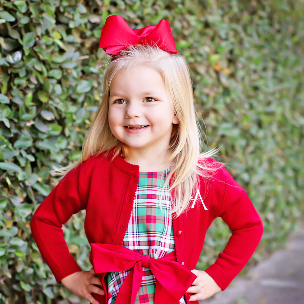 Merry & Bright Plaid Sash Dress